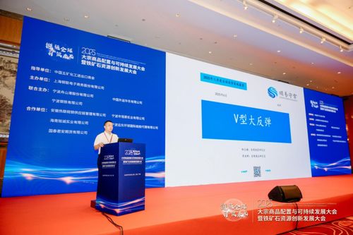 綠色轉型與戰略協同 2025大宗商品配置與可持續發展大會暨鐵礦石資源創新發展大會圓滿落幕