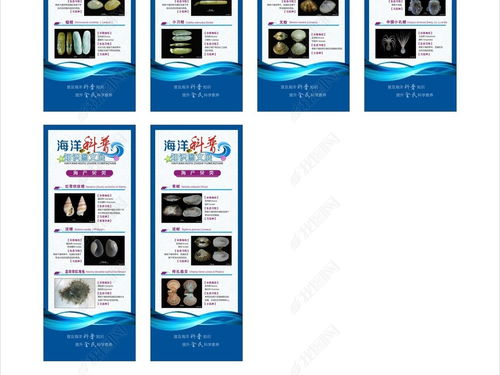 藍(lán)色海洋科普圖文展易拉寶展架設(shè)計(jì) 探索海洋奧秘，守護(hù)蔚藍(lán)家園